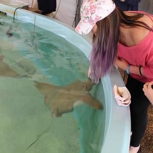 Meet your Posher, Lindsey